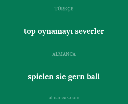 spielen sie gern ball - top oynamayı severler