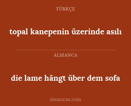 die lame hängt über dem sofa - topal kanepenin üzerinde asılı
