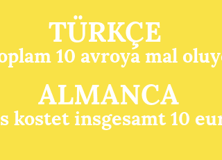 toplam+10+avroya+mal+oluyor-es+kostet+insgesamt+10+euro.png