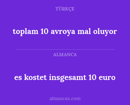 toplam 10 avroya mal oluyor - es kostet insgesamt 10 euro