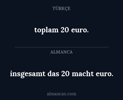 toplam 20 euro. - insgesamt das 20 macht euro.