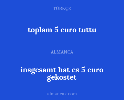 insgesamt hat es 5 euro gekostet - toplam 5 euro tuttu
