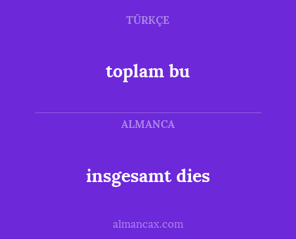 toplam bu - insgesamt dies