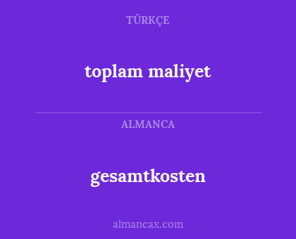 gesamtkosten - toplam maliyet
