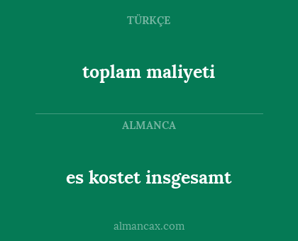es kostet insgesamt - toplam maliyeti