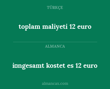 i̇ngesamt kostet es 12 euro - toplam maliyeti 12 euro