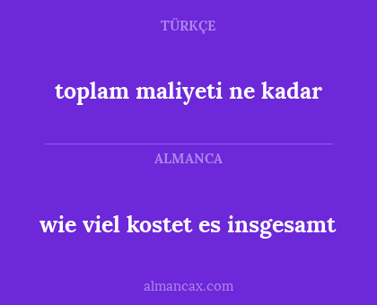 toplam maliyeti ne kadar - wie viel kostet es insgesamt