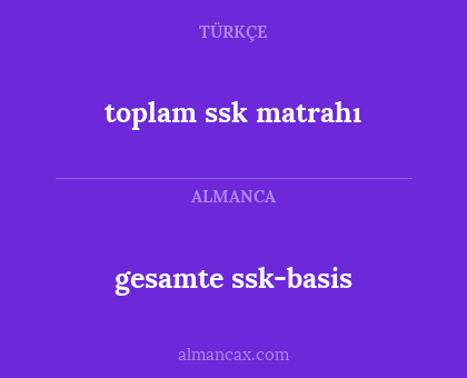 toplam ssk matrahı - gesamte ssk-basis