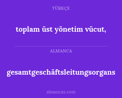 gesamtgeschäftsleitungsorgans - toplam üst yönetim vücut,