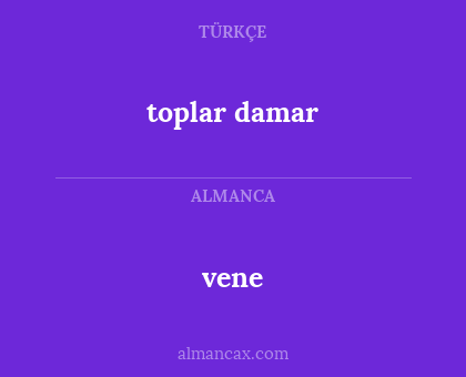 toplar damar - vene