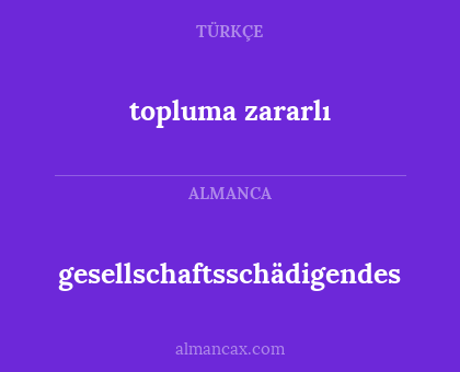 gesellschaftsschädigendes - topluma zararlı