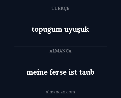 topugum uyuşuk - meine ferse ist taub