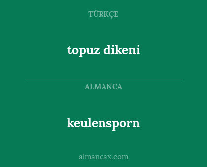 topuz dikeni - keulensporn