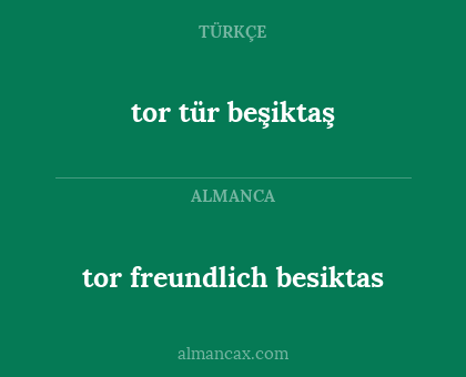 tor freundlich besiktas - tor tür beşiktaş