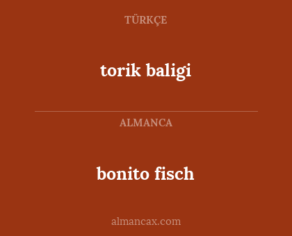 bonito fisch - torik baligi