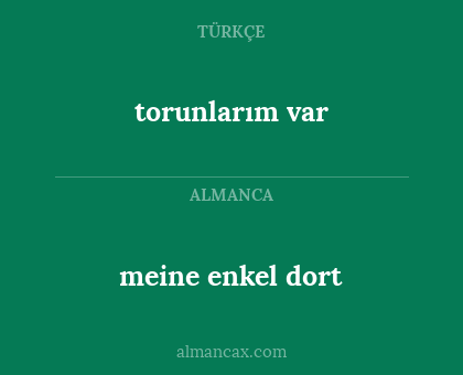 torunlarım var - meine enkel dort