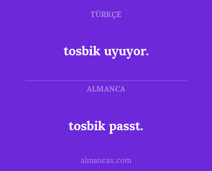 tosbik passt. - tosbik uyuyor.