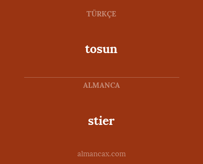 stier - tosun