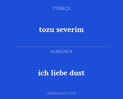 tozu severim - ich liebe dust