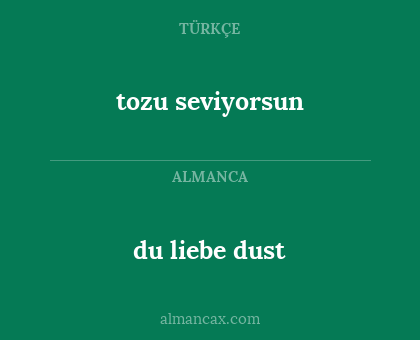 tozu seviyorsun - du liebe dust