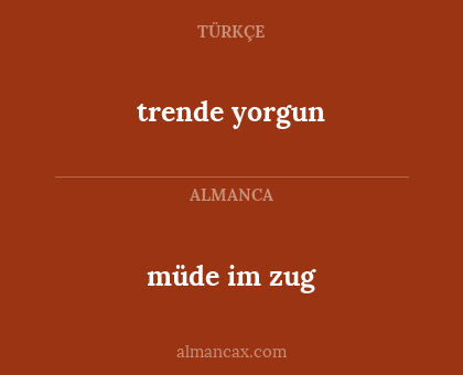 müde im zug - trende yorgun