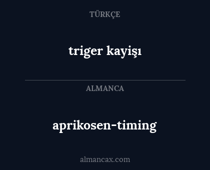 triger kayişı - aprikosen-timing