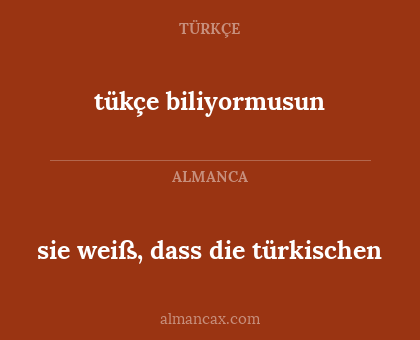 tükçe biliyormusun - sie weiß, dass die türkischen