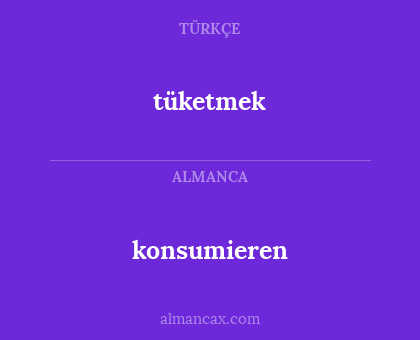 konsumieren - tüketmek