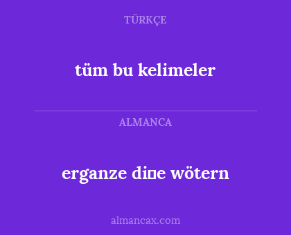 tüm bu kelimeler - erganze di̇e wötern