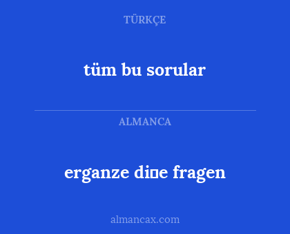 tüm bu sorular - erganze di̇e fragen