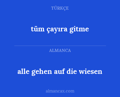 alle gehen auf die wiesen - tüm çayıra gitme