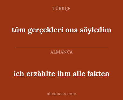 tüm gerçekleri ona söyledim - ich erzählte ihm alle fakten