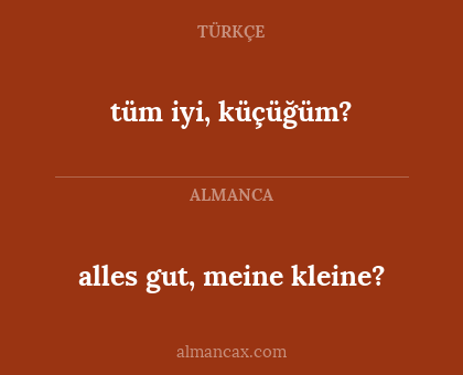 tüm iyi, küçüğüm? - alles gut, meine kleine?