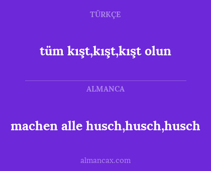 machen alle husch,husch,husch - tüm kışt,kışt,kışt olun