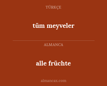alle früchte - tüm meyveler