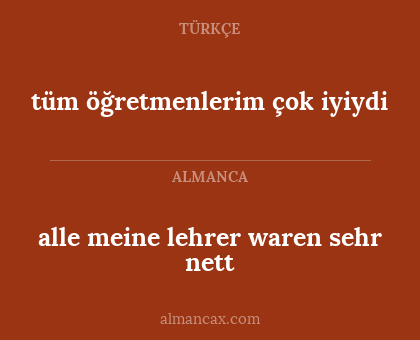 alle meine lehrer waren sehr nett - tüm öğretmenlerim çok iyiydi