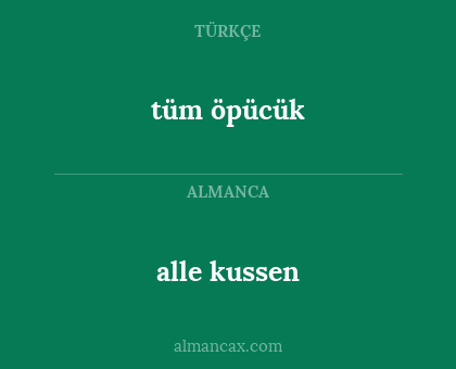 tüm öpücük - alle kussen