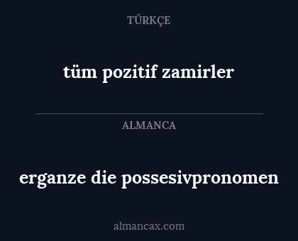 erganze die possesivpronomen - tüm pozitif zamirler