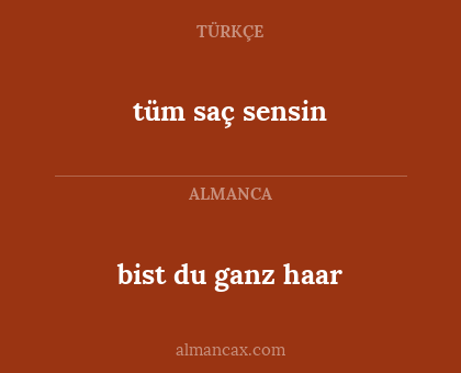 bist du ganz haar - tüm saç sensin