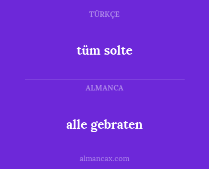 tüm solte - alle gebraten
