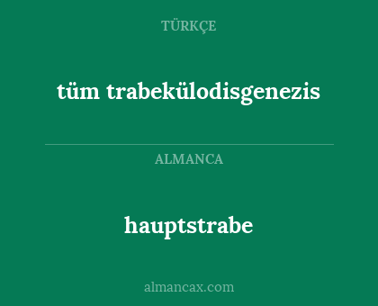hauptstrabe - tüm trabekülodisgenezis