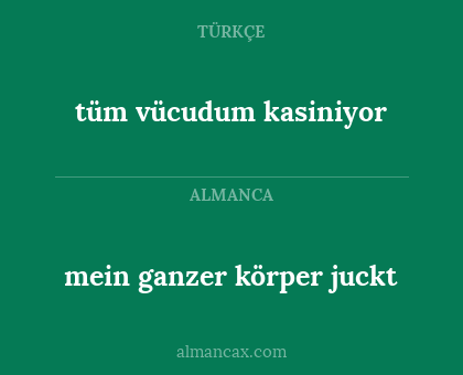 mein ganzer körper juckt - tüm vücudum kasiniyor