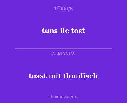 toast mit thunfisch - tuna ile tost