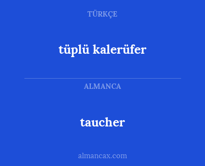 taucher - tüplü kalerüfer
