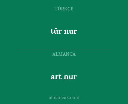 art nur - tür nur