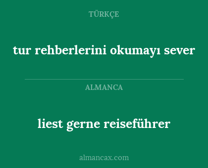 liest gerne reiseführer - tur rehberlerini okumayı sever