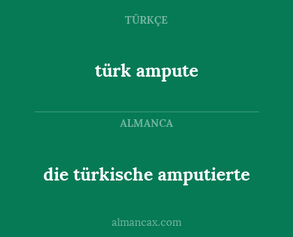 türk ampute - die türkische amputierte