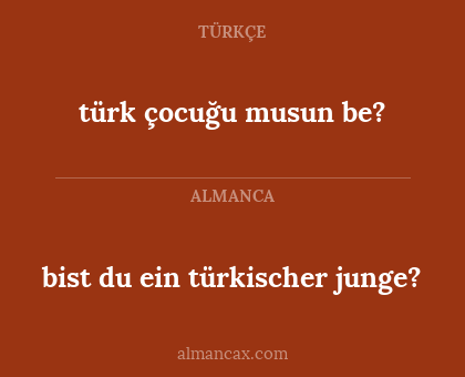 bist du ein türkischer junge? - türk çocuğu musun be?