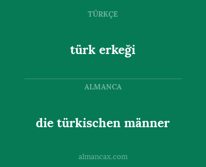 die türkischen männer - türk erkeği