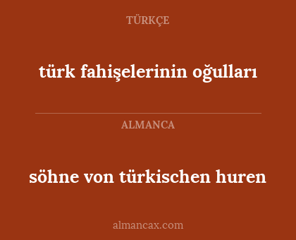 türk fahişelerinin oğulları - söhne von türkischen huren